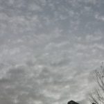 Profile picture of Korectional