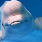 Profile picture of daniel